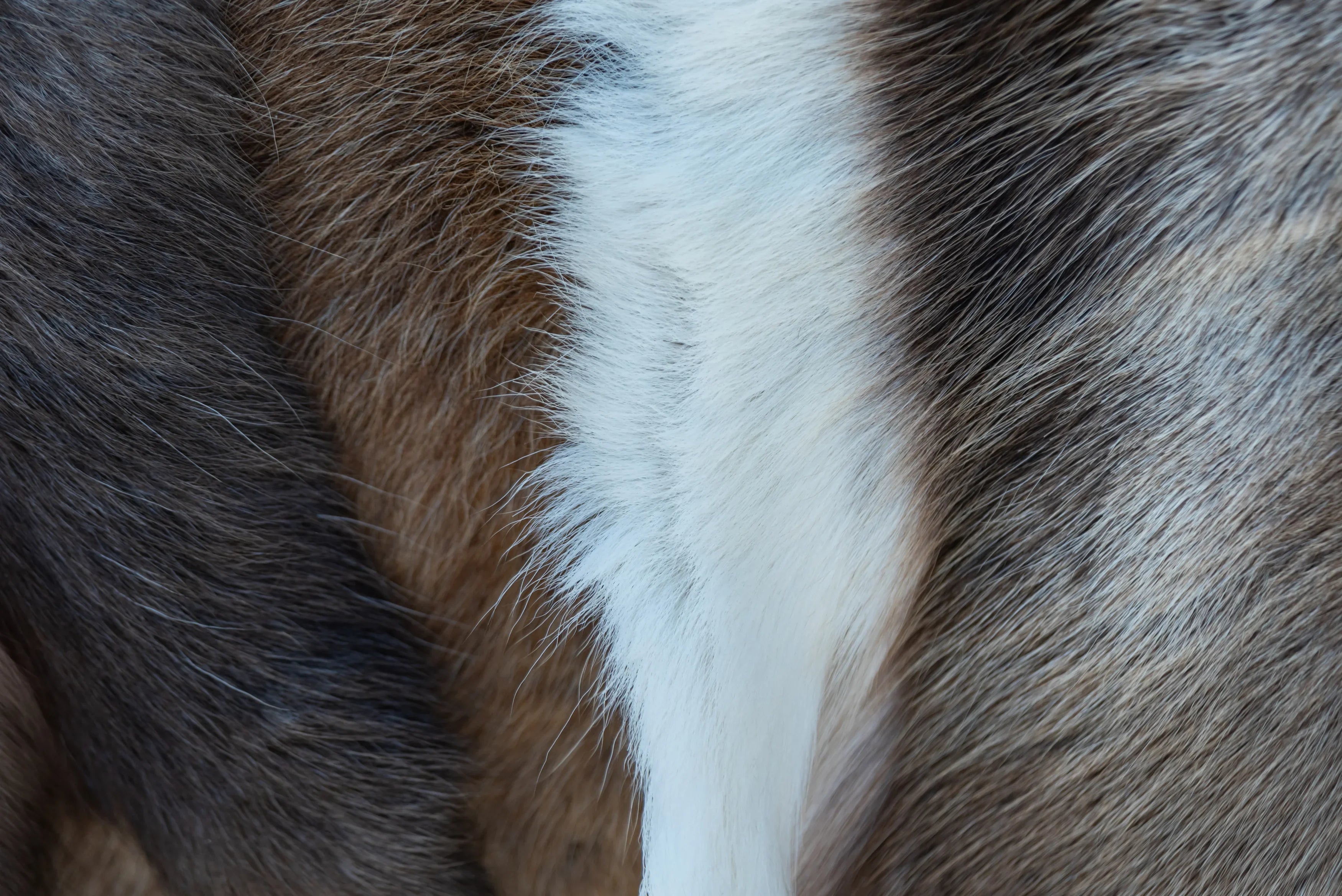 Advantages of natural fur lining compared to synthetic fur