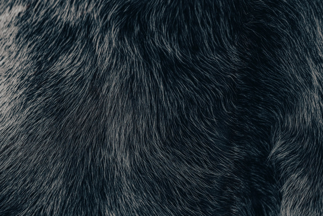 Why we choose natural fur
