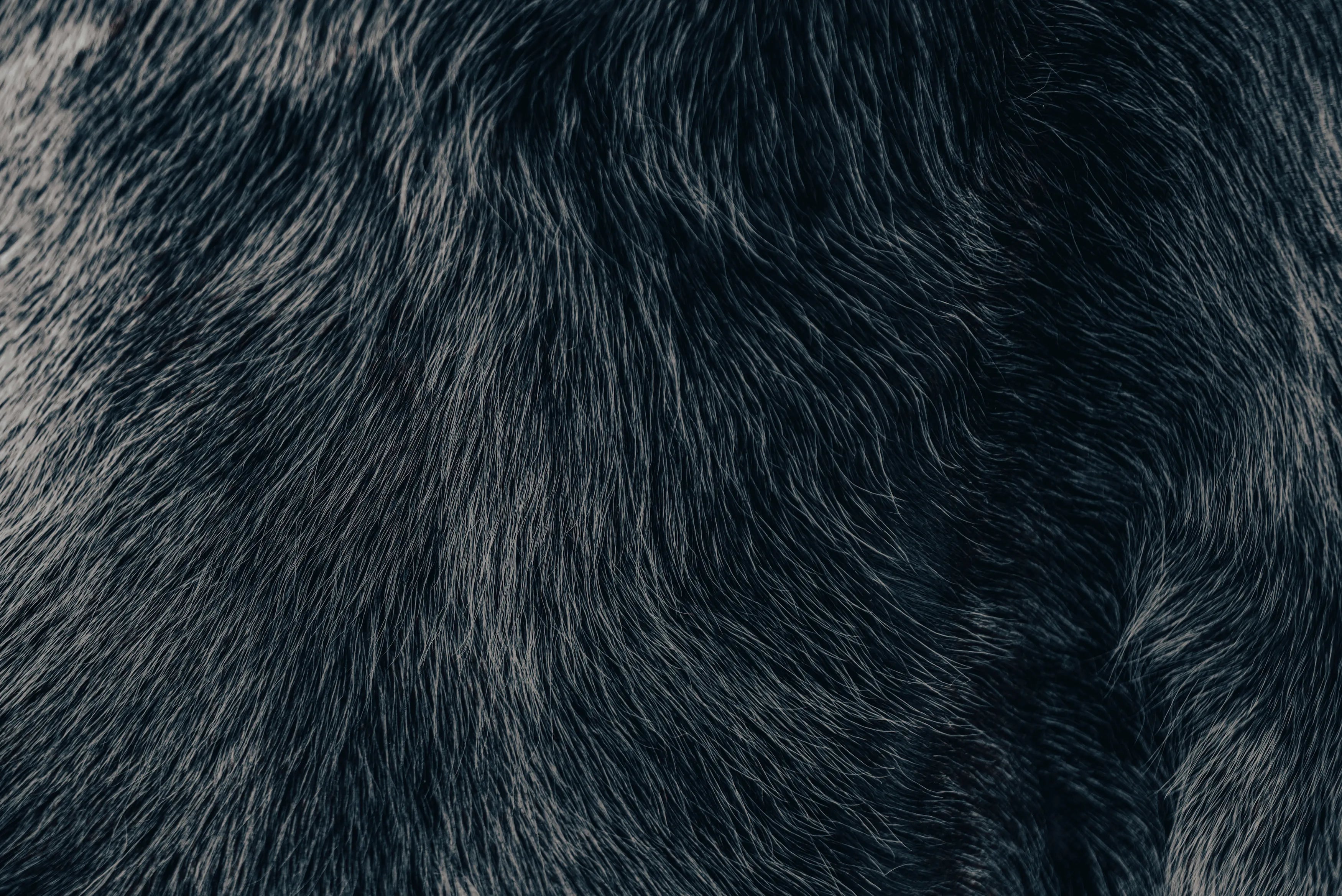 Why we choose natural fur