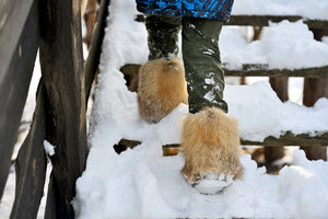 Red fox fur boots for kids