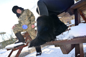 Black fox fur boots
