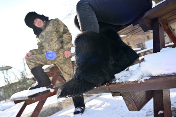 Black fox fur boots