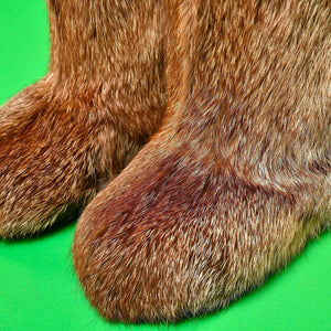Red fox boots